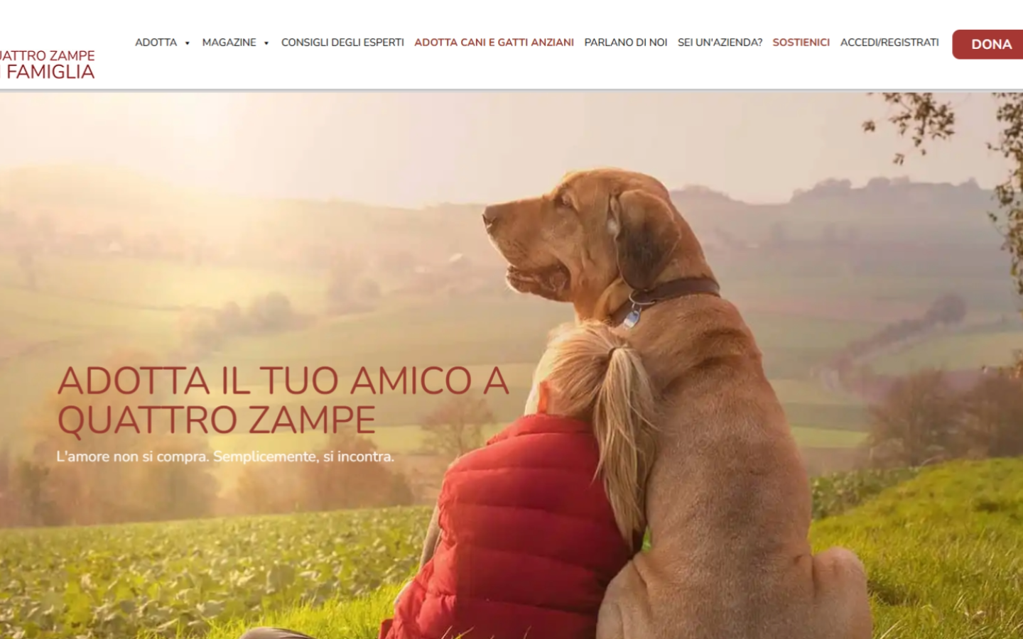 Anteprima del sito Quattro Zampe in Famiglia